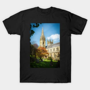 Llandaff Cathedral in Spring T-Shirt